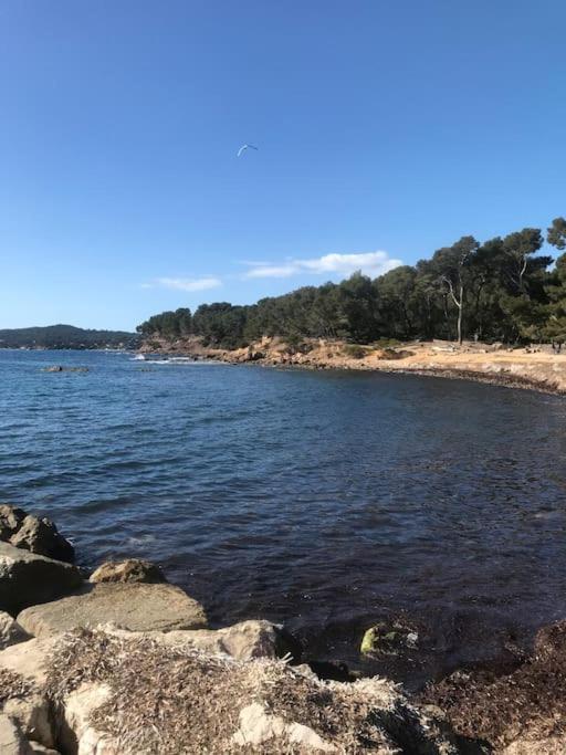 Studio L'Echappee Mandreenne Le Calme Entre Mer Et Foret Saint-Mandrier-sur-Mer Exterior foto